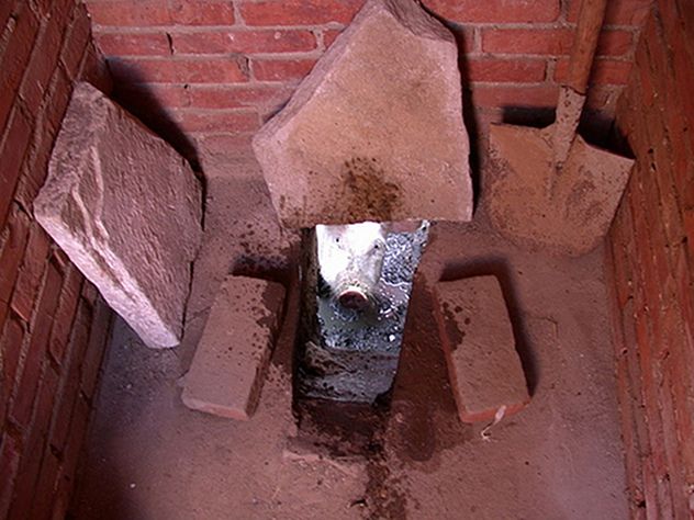 toilet