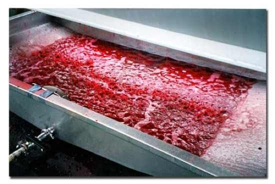 Press Wine