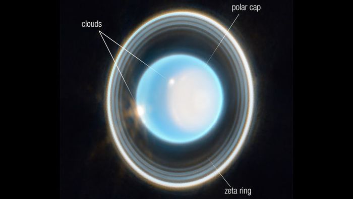 The rings of Uranus