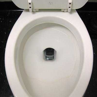 Phoneinthetoilet
