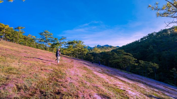 Khám phá những danh lam thắng cảnh tuyệt vời tại Đà Lạt.