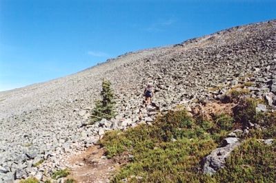 Mt Outram Scree.Jpg