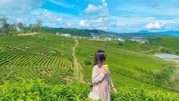 Đà Lạt có nhiều danh lam thắng cảnh đẹp, thu hút rất nhiều du khách đến tham quan và khám phá.