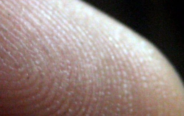Seven finger ridges