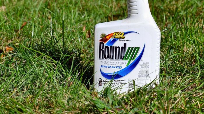 Steps to Claim Your Share of the Monsanto Weed Killer Settlement