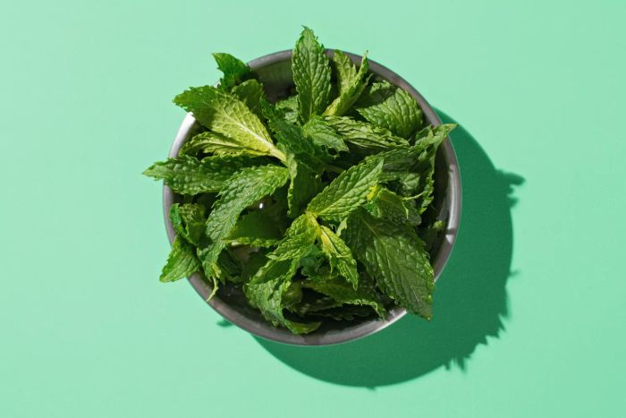 A bowl of vibrant, freshly picked mint placed on a table
