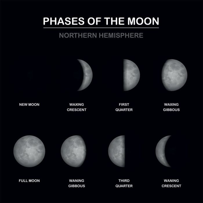 Phases of the Lunar Cycle