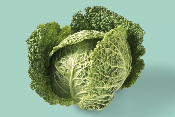 A fresh and vibrant head of green cabbage