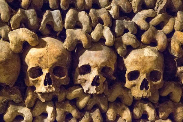 Corpses in Catacombs of Paris