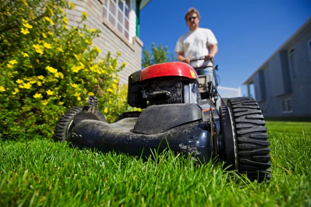 2- Mowing
