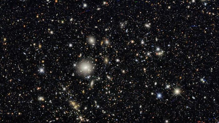 The Cosmos