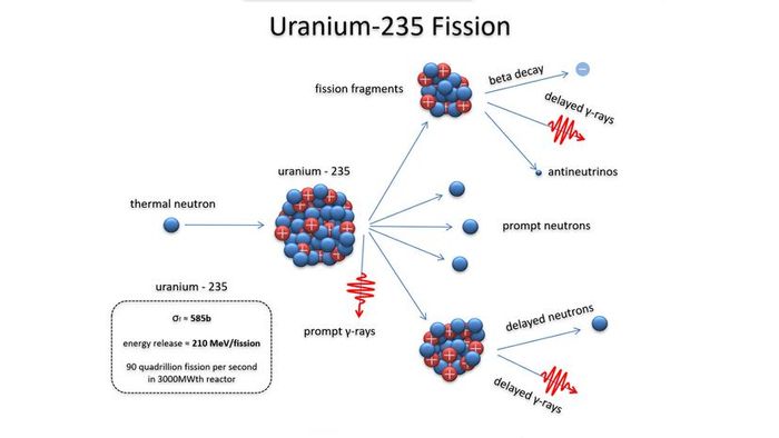 Neutron fission reaction