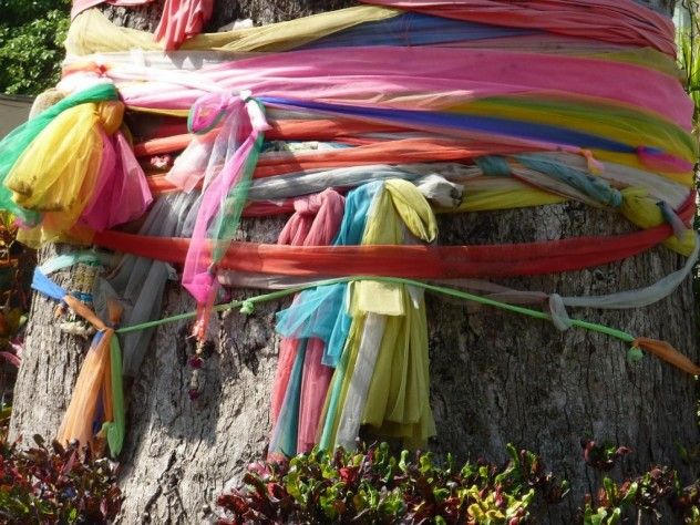 tree and ribbons