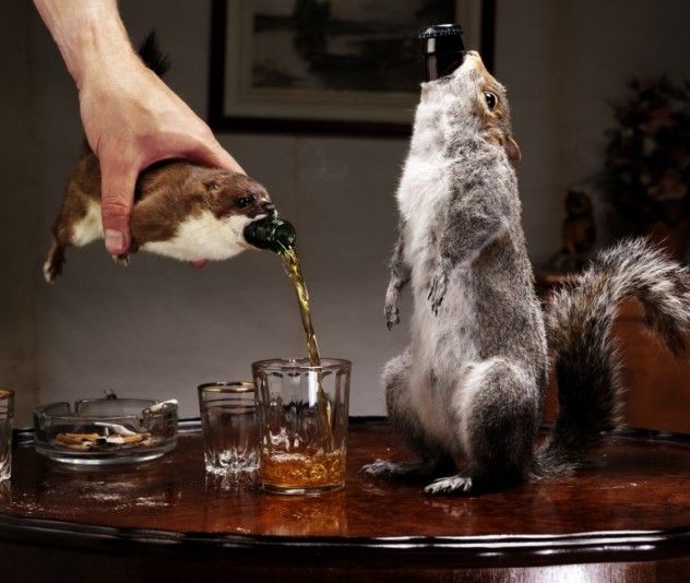 BrewDog, the brewery that dares to push boundaries