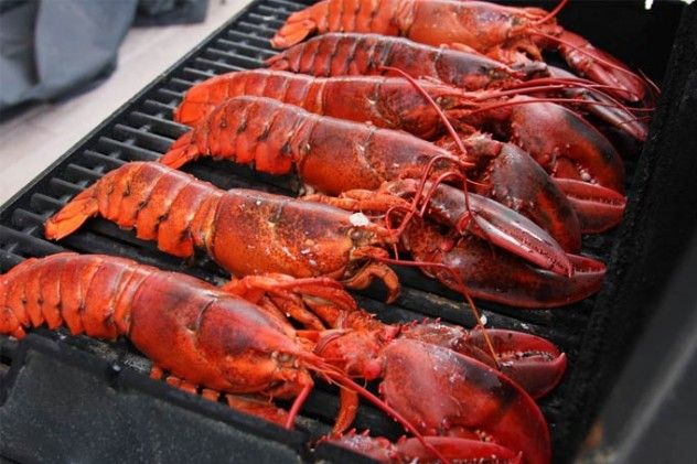 lobster