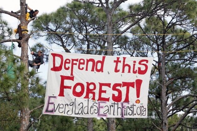 treesit