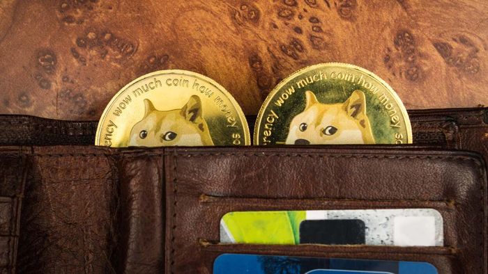A Simple Step-by-Step Guide for Purchasing Dogecoin When You’re Feeling Confused and Don’t Know How to Start