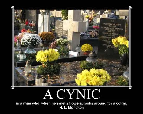 Cynic