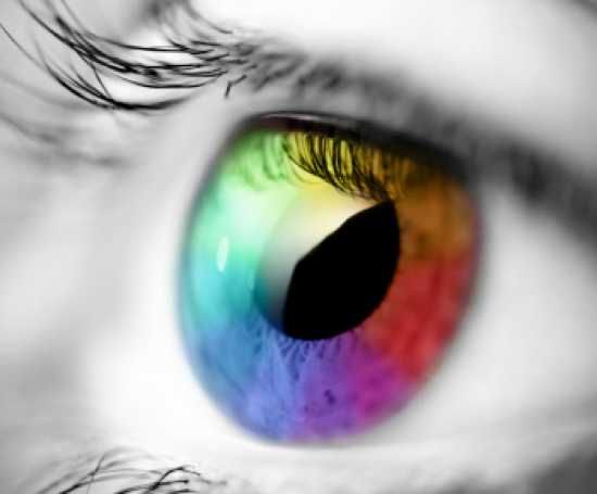 Color Perception2