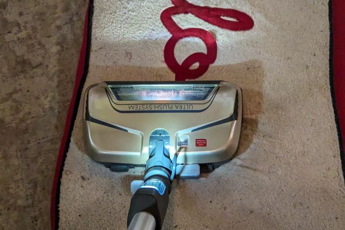 A person uses the Kenmore Elite 81714 Pet Friendly Canister Vacuum to clean a pet's bed
