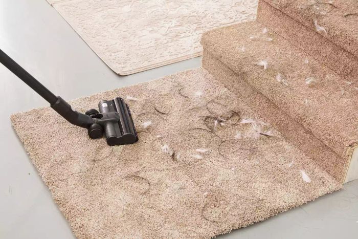 Levoit VortexIQ 40 Cordless Stick Vacuum picking up hair and debris from carpet