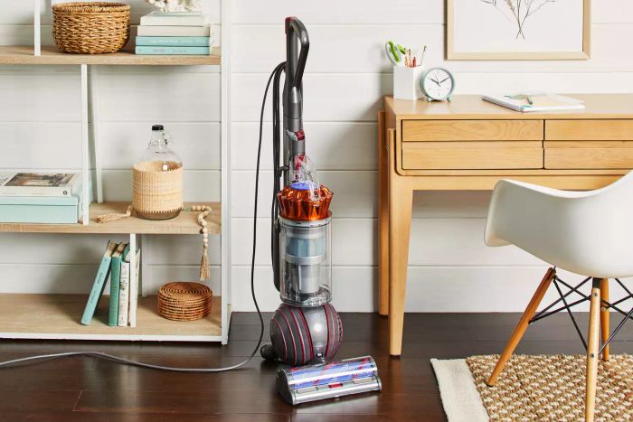 The Dyson Ball Animal 3 Extra vacuum is displayed next to a desk and a bookshelf.