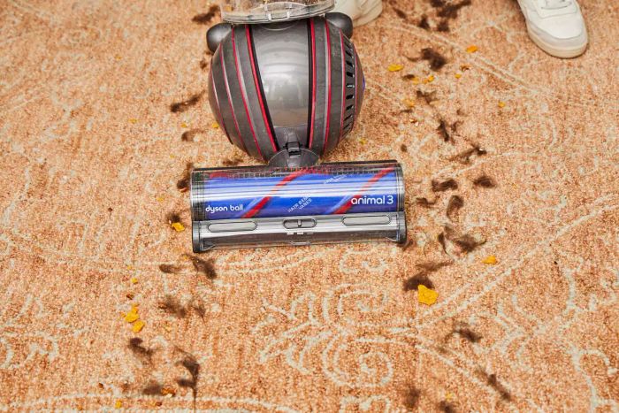 The Dyson Ball Animal 3 Extra is being used to clean a soiled carpet.