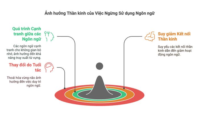 Tác động của việc ngừng sử dụng ngôn ngữ đối với hệ thần kinh