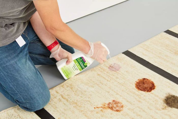 Person applying Biokleen Bac-Out Stain + Odor Remover Foaming Action Spray to a stained rug