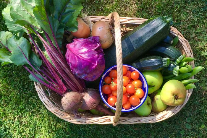 A wicker basket filled with freshly harvested organic fruits like bramley apples, alongside vegetables such as courgettes, tomatoes, beetroot, onions, runner beans, and red cabbage, resting on a garden lawn.