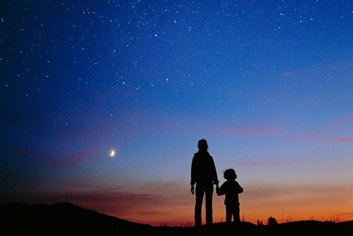 gazing at the stars