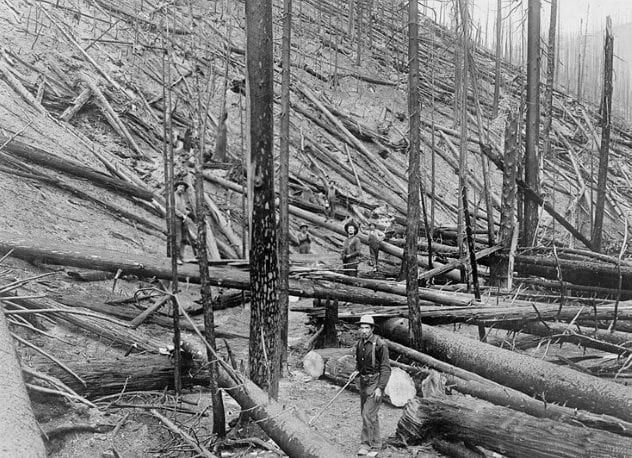 The Great Fire of 1910