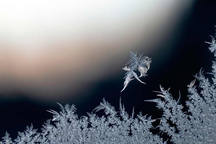 A close-up of ice crystals on a frosted window.