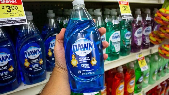Dawn Dishwashing Liquid