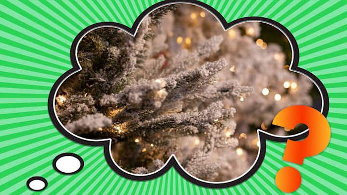 It seems like we’re in for a snowy Christmas after all.