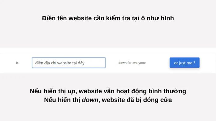 Hãy kiểm tra xem trang web có đang hoạt động bình thường không để khắc phục lỗi err_connection_refused trên điện thoại.