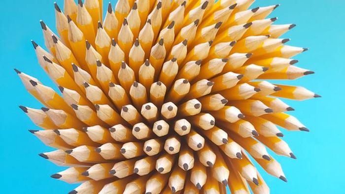 The world of pencils is vast, offering a variety of types for different needs.
