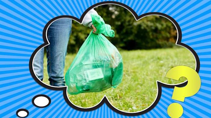 Plastic bags are a major environmental problem.