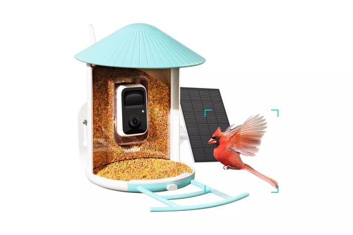 Netvue Birdfy Lite Smart Bird Feeder Camera