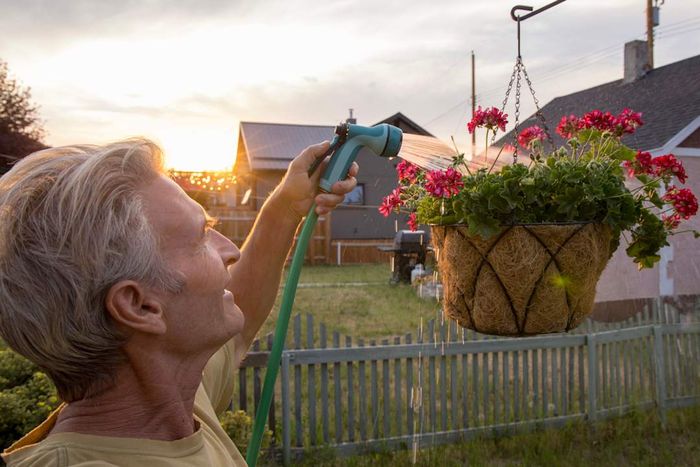 A man watering his potted flowers as the sun rises