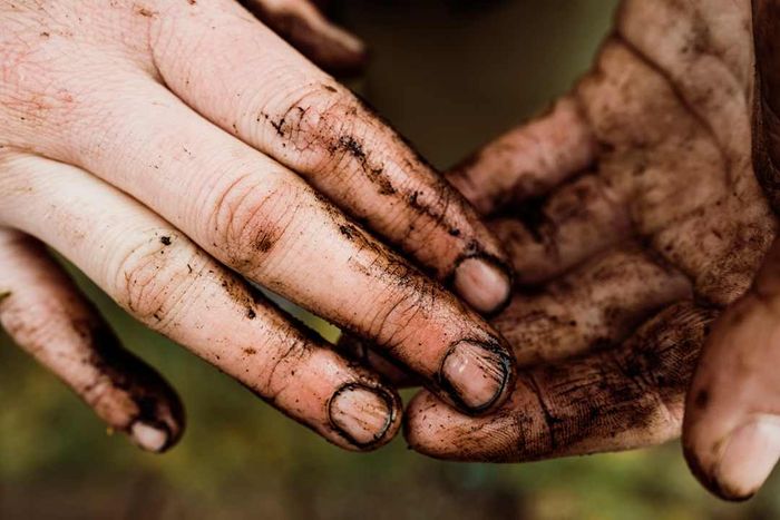 Close-up shot of a woman’s hands covered in dirt and grime after a gardening session.