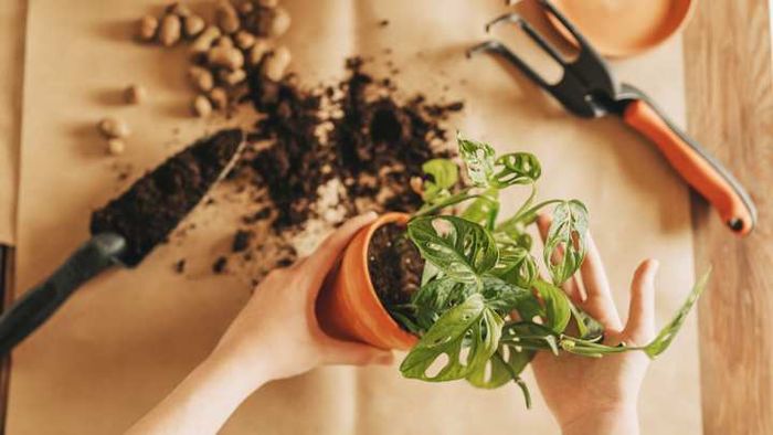 Soil is not a one-size-fits-all material.