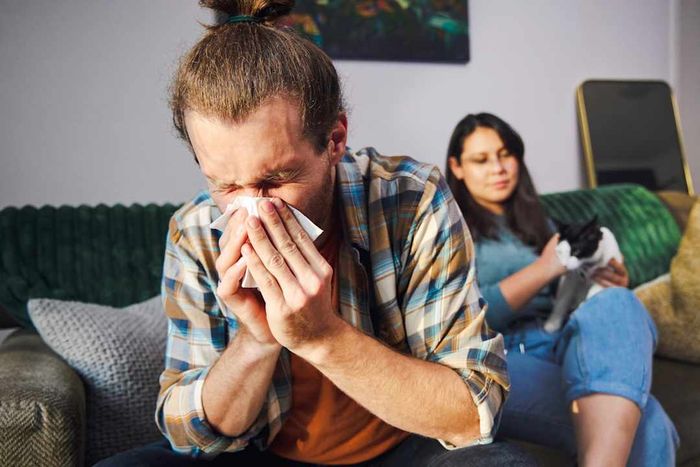 a woman sitting with a cat on her lap while her male partner sneezes beside her