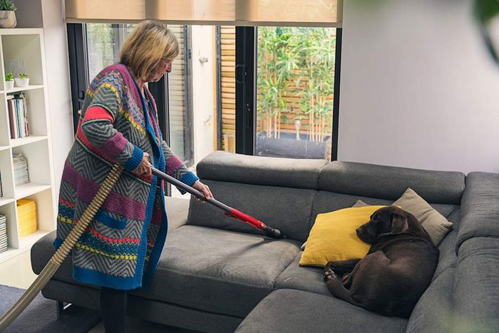 an older woman in a colorful sweater vacuuming a gray couch while her dog rests on it