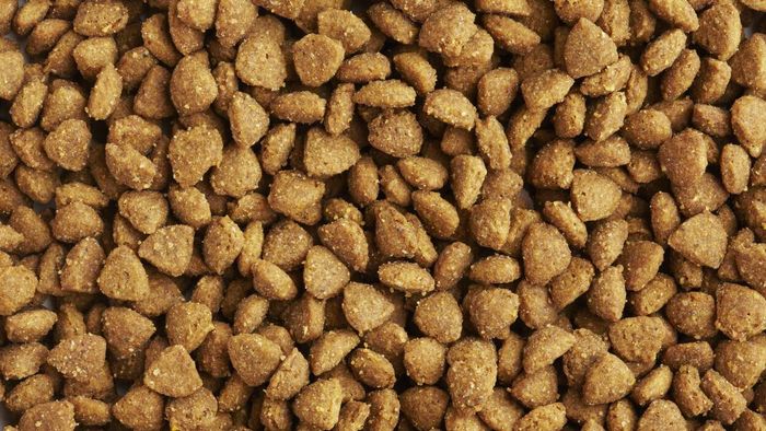 Heads Up: This Dangerous Dog Food Has Led to the Deaths of More Than 70 Dogs