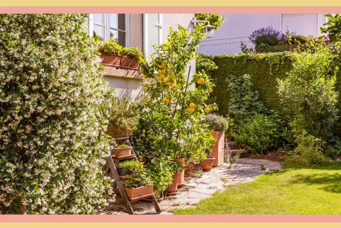 6 Potted Plants to Boost Curb Appeal—Simple Tips for 2023 from Real Simple