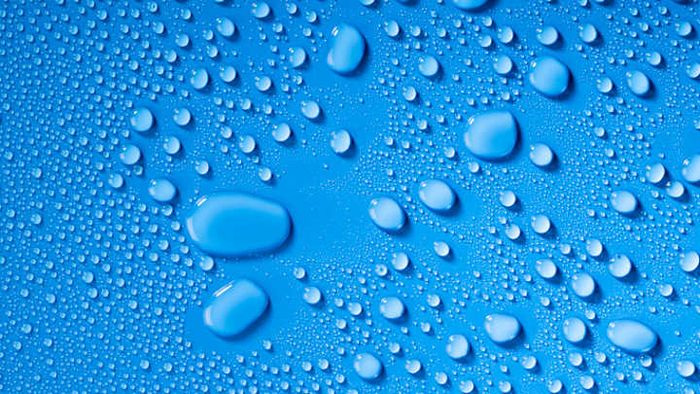 Wetness arises from the interplay of cohesive and adhesive forces.