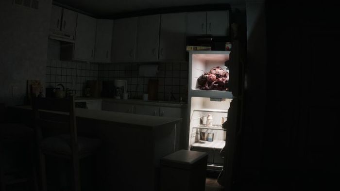 dream-cage-3