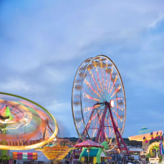 Ferris Wheel at the Amusement Park