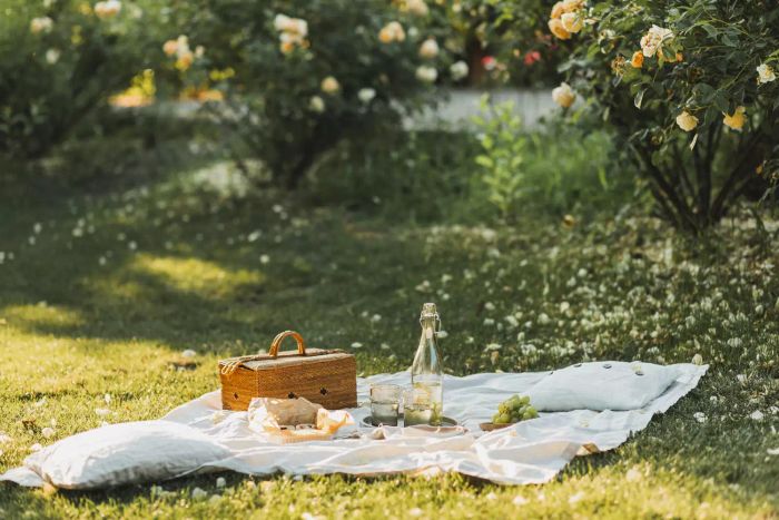 Picnic in the summer breeze